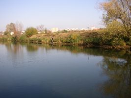 Vltava 6-Lahovická nádrž 19.10.05 (2).jpg